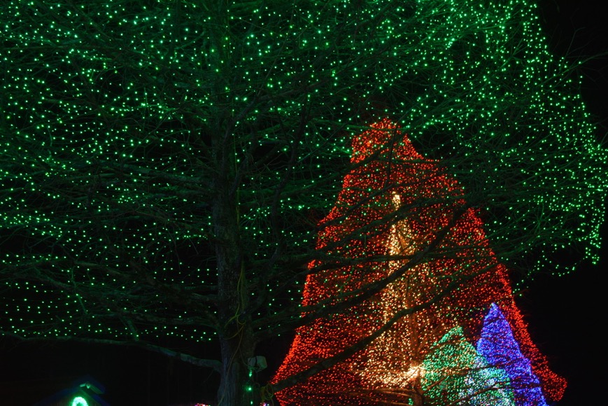 9F0BC52E-174F-4B00-963F-DA713BA3CB27_1_105_c